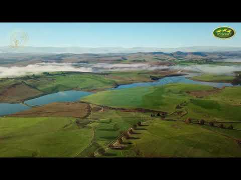 The School of Equine Management Excellence ~Summerhill Equestrian