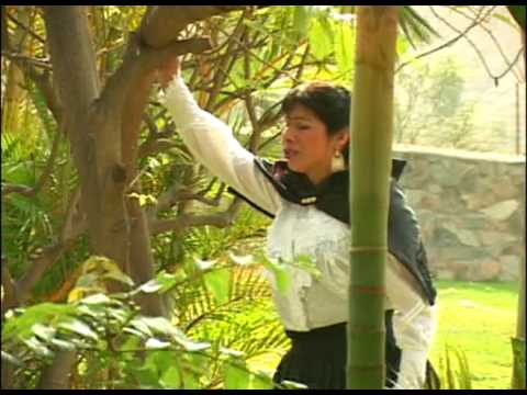 LLORA CORAZÓN..SILA ILLANES