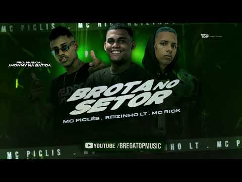 REIZINHO LT , MC PICLÉS , MC RICK - BROTA NO SETOR