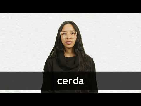 How to pronounce CERDA in Latin American Spanish