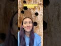 Don't BEE fooled by carpenter bees 🐝