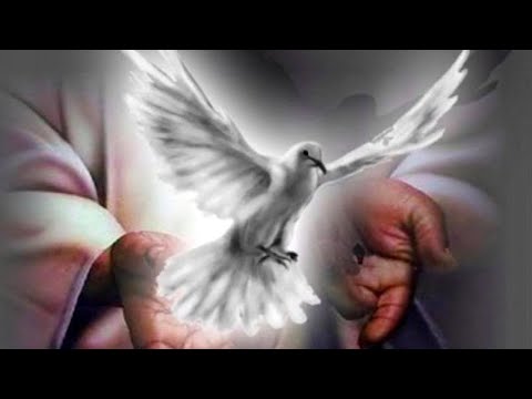 Mala krunica Duhu Svetom