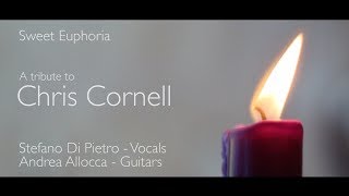 Chris Cornell - Sweet Euphoria (A tribute to Chris Cornell)