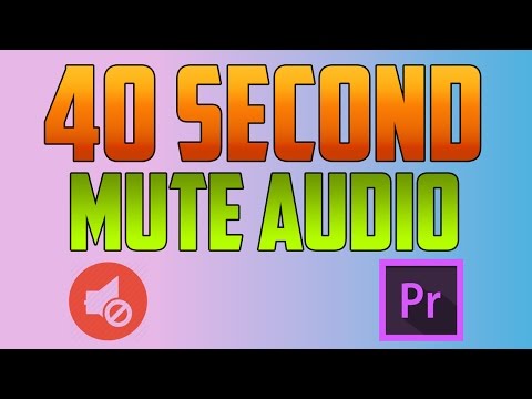 Premiere Pro Podcast Voice Tutorial