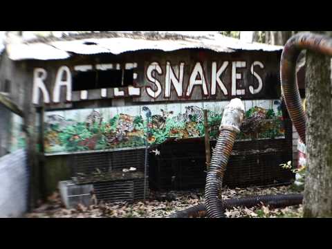 Wake Up, Sinners - The Dirt Daubers (OFFICIAL VIDEO)