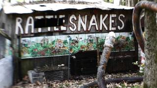 "Wake Up, Sinners" - The Dirt Daubers (OFFICIAL VIDEO)