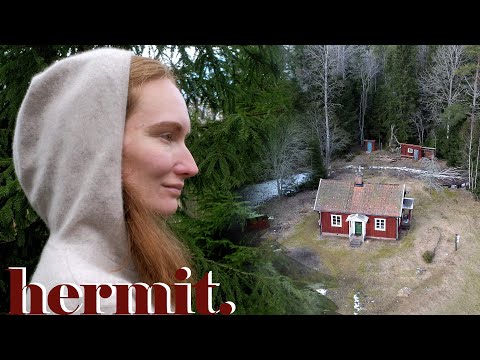 Why Living Alone In The Woods Will Change You Forever | my experience (Story 47)
