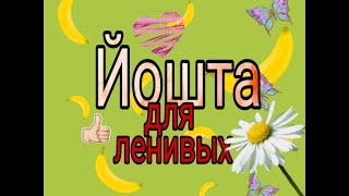 крыжовник+ч.смородина=ЙОШТА!