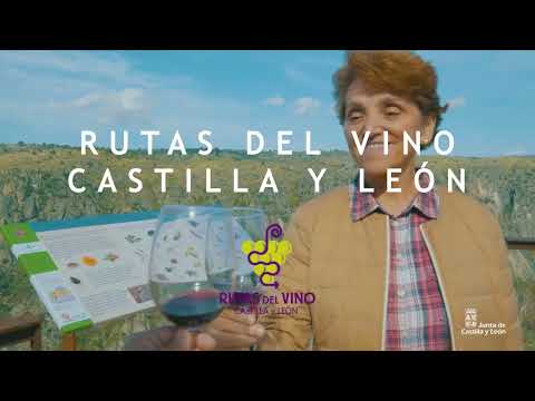 Rutas del Vino Castilla y León ¡Experimenta!