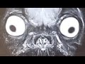 Pugs Live In Constant Agony And Pain