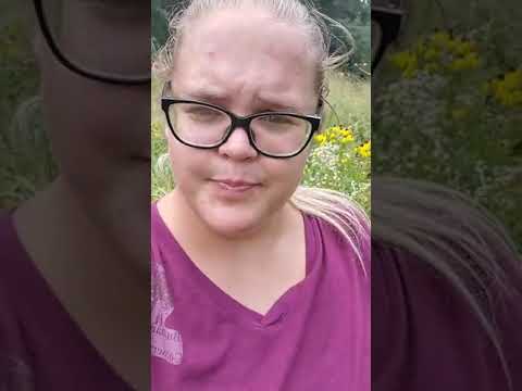 What? Why? When? - Goldenrod Galls