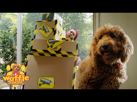 Waffle The Wonder Dog Mega Fun Compilation for Kids | WildBrain Zigzag