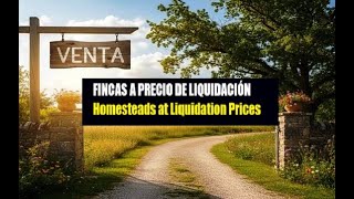 FINCAS A 1.000 DÓLARES (APROX) LA HECTÁREA EN MENDOZA,LA TIERRA DEL SOL Y EL BUEN VINO
