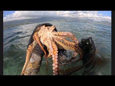 A Blessed Day at Kaneohe Bay 🙌💯‼️