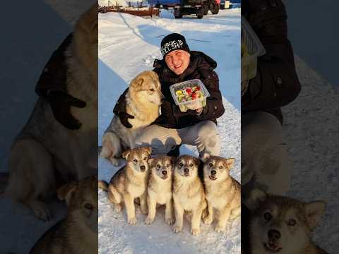 СПАС ЩЕНКОВ