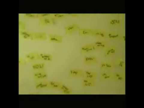 Napt vs. N3RD vs. Skibadee - Gordon Mashup (clean)