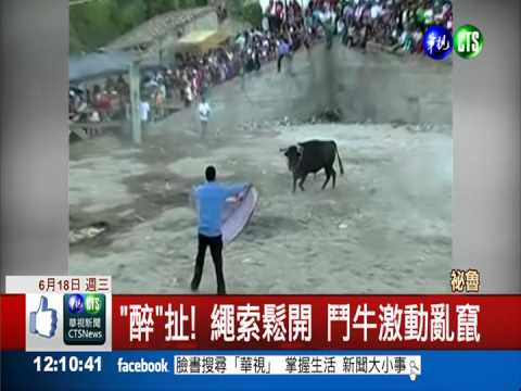 "醉"粗心! 繩索鬆開 牛狂奔釀10傷