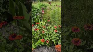 Download lagu Gaganda nila naman 🫶 mp3