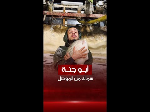 شاهد بالفيديو.. "أبو جنة" صياد وبائع سمك من الموصل اشتهر بكرمه وطيبة قلبه فتحول إلى علامة فارقة على منصات التواصل