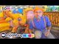 Learn Jungle Animals With Blippi Blippi Learning Videos For Kids Education Show For Toddlers