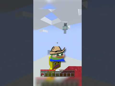 we did not talk in this #minecraft #shorts