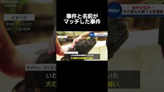 #ニュース#放送事故#犬#ブリッヒー