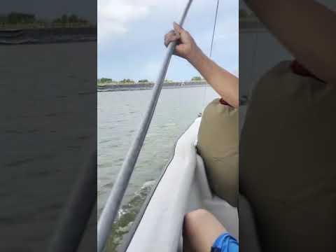 paseíto en zanja honda. coyaima Tolima