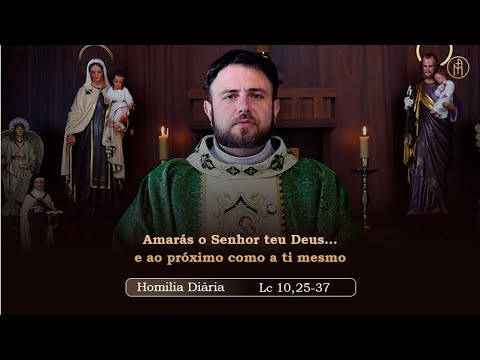 Daily Homily | Sunday - 15th Sunday in Ordinary Time - (Luke 10:25-37)