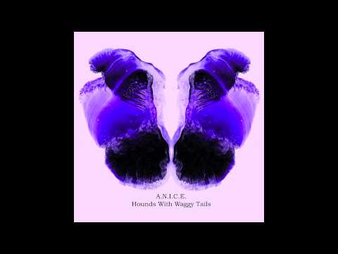 A.N.I.C.E. - Hounds With Waggy Tails (Nicolas Duvoisin´s Reinterpratation)