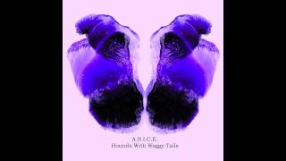 A.N.I.C.E. - Hounds With Waggy Tails (Nicolas Duvoisin´s Reinterpratation)