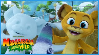 It’s Been Snowing Forever! | DreamWorks Madagascar