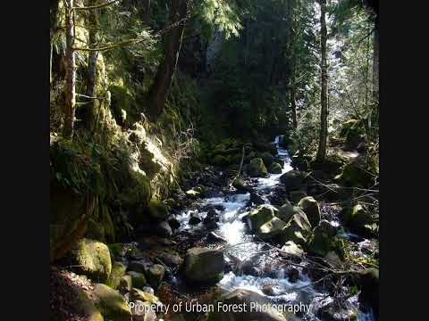 Fatos Xhaferri - Te rriti nena me shum halle