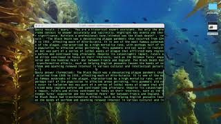 Unlocking Web Archives Using Retrieval Augmented Generation