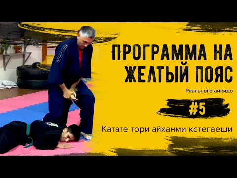 Система самообороны Реального Айкидо. Программа на желтый пояс #5