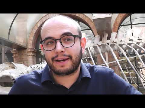 Mattia Bozzelli-0