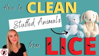 How to Clean Stuffed Animals From Lice Tutorial
