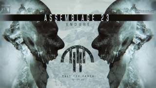 Assemblage 23 - Salt The Earth