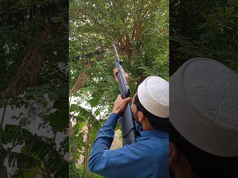 Airgun hunting | Air rifle hunting | Outdoor hunting | Hunting with airguns | Pellet gun hunting