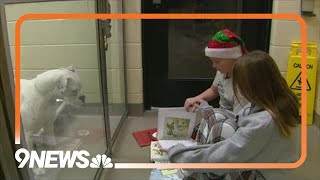 Kids read bedtime stories to pets at Denver animal shelter