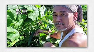 2025上半期成長記録