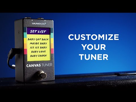 Walrus Audio Canvas Digital Tuner image 3