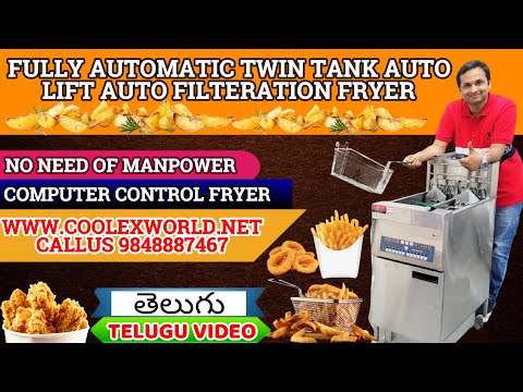 Twin Tank Electric Fryer