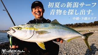 【初夏の新潟サーフ】広大な遠浅サーフから青物を探し出す。初夏の新潟・中越下越エリア / 伊賀拓実