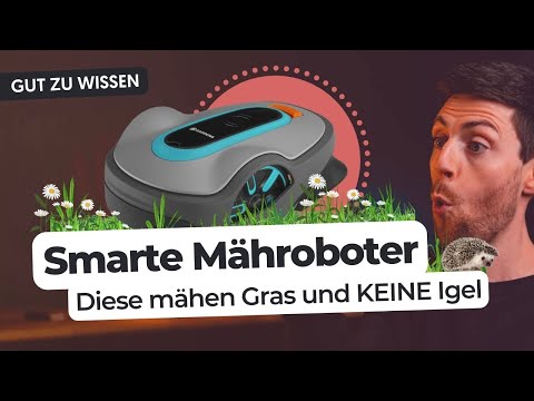 Mähroboter: Darauf solltest du UNBEDINGT beim Kauf achten!