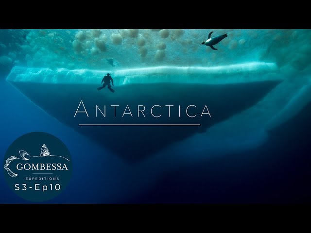 Gombessa 3 - Antartica - Ep10