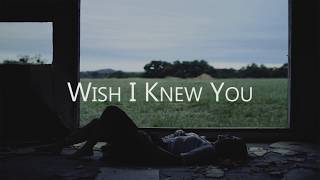 Wish I Knew - The Revivalists You - Sub. Español
