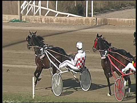 Trotto 26/02/2017 - 2ª corsa