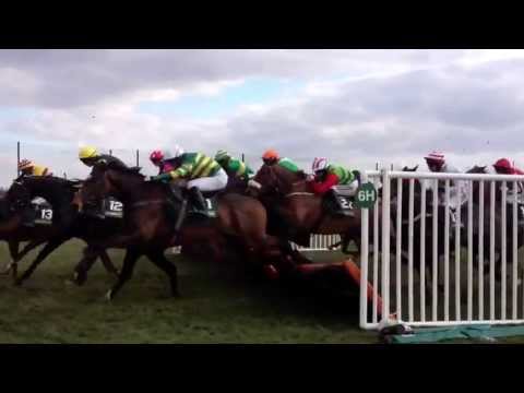 Horses at Aintree (Hurdle)