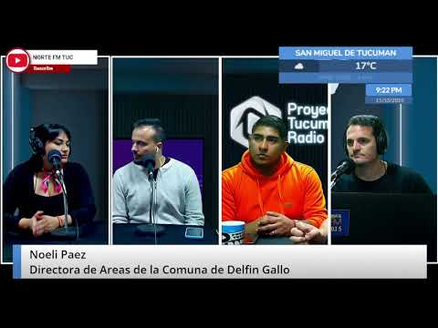 PROYECTO TUCUMAN RADIO NOELÍ PAÉZ DIR ÁREA SOCIAL DELFÍN GALLO