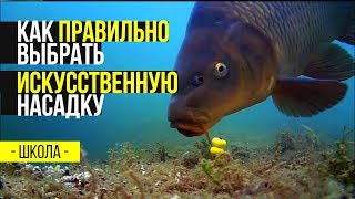 Ловля карпа на искусственную кукурузу форум